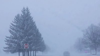 Severe Winter Storm Forecast: Up to 13 Inches of Snow and 90 MPH Winds This Weekend