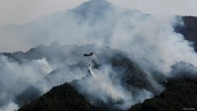 Record Wildfires Erupt Worldwide as Heat Waves Intensify
