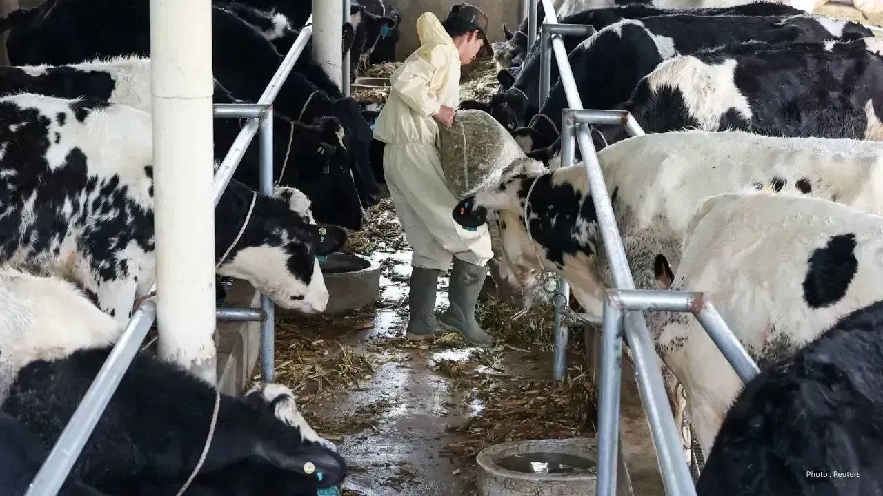 Interest Grows in New 6% Milk in Ontario Grocery Stores