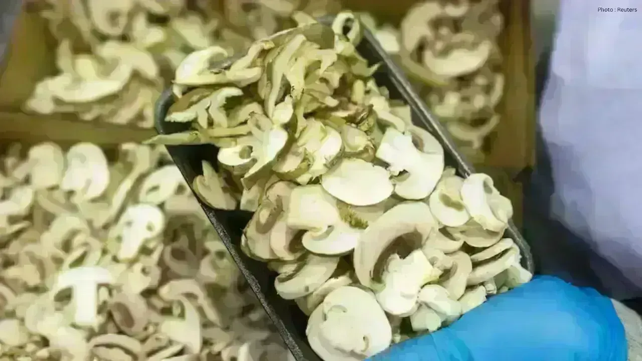 U.S. Announces Tariffs on Canadian Mushroom Exports