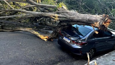 Severe Winds Result in Widespread Power Disruptions in Saskatchewan