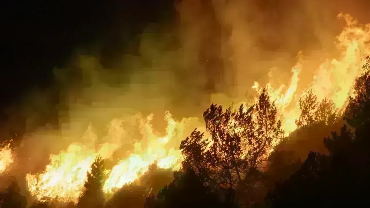 Arson Charges Laid in Port Alberni Following Suspicious Fires