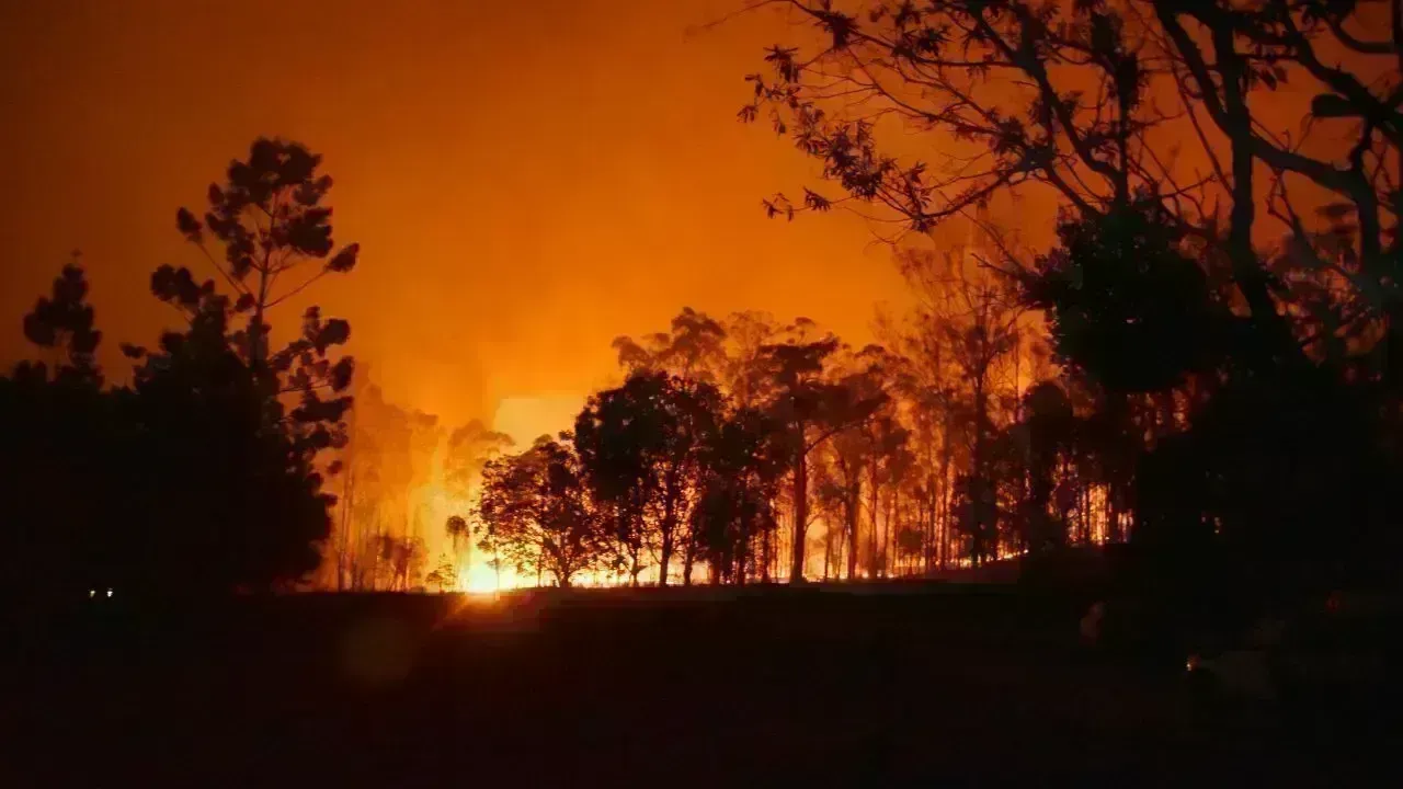 Indonesia Achieves 86% Reduction in Forest Fires