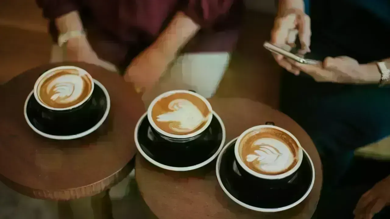 Shan Mu and Wooca: A Fresh Take on Café Culture