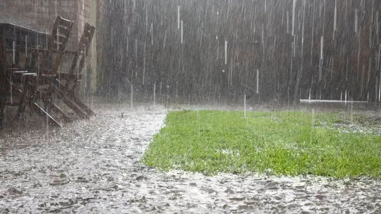 Delhi Monsoon Showers Offer Brief Respite from Heatwave