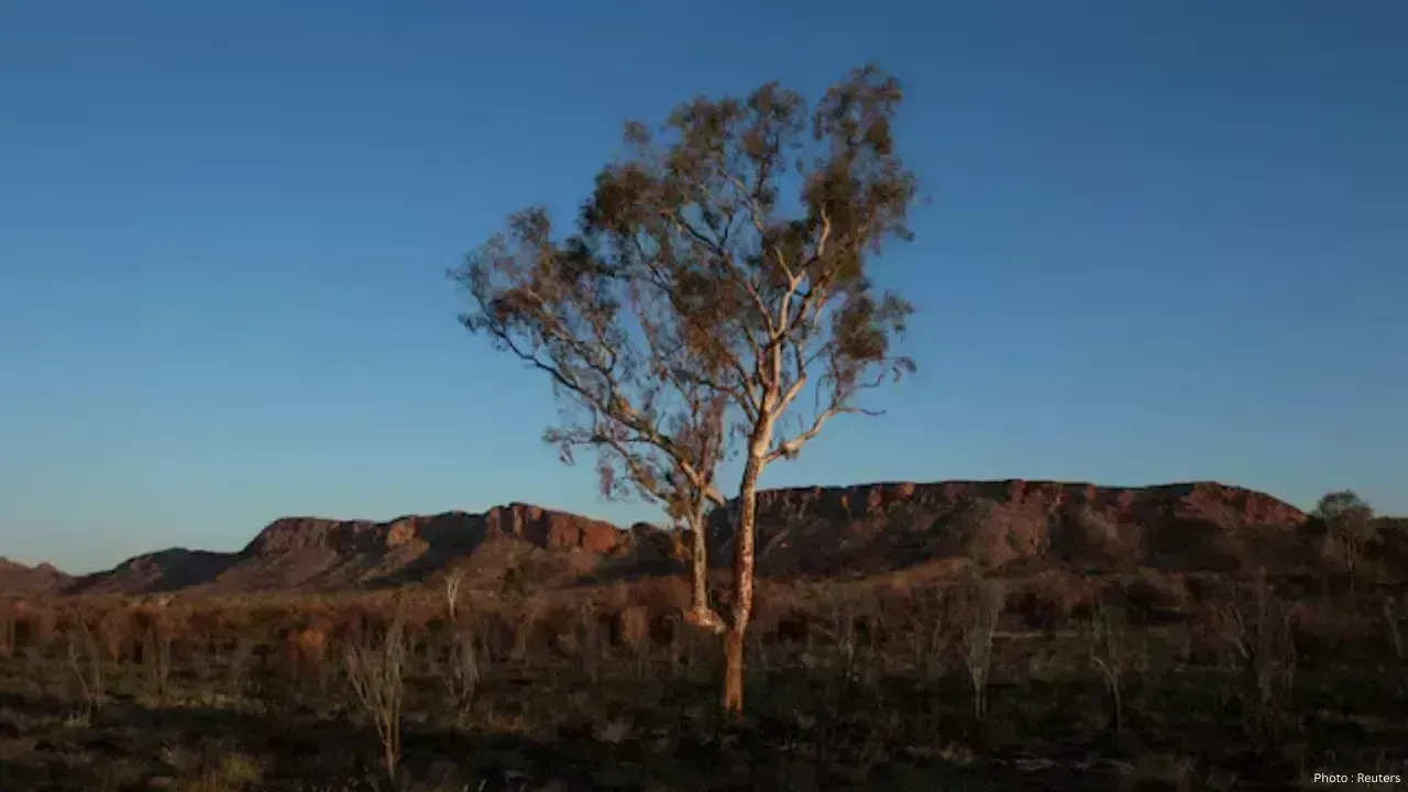 Global Plant Species Face Risks from Climate Change