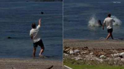Hawaii Issues Beach Ban for Man Accused of Endangering Seal