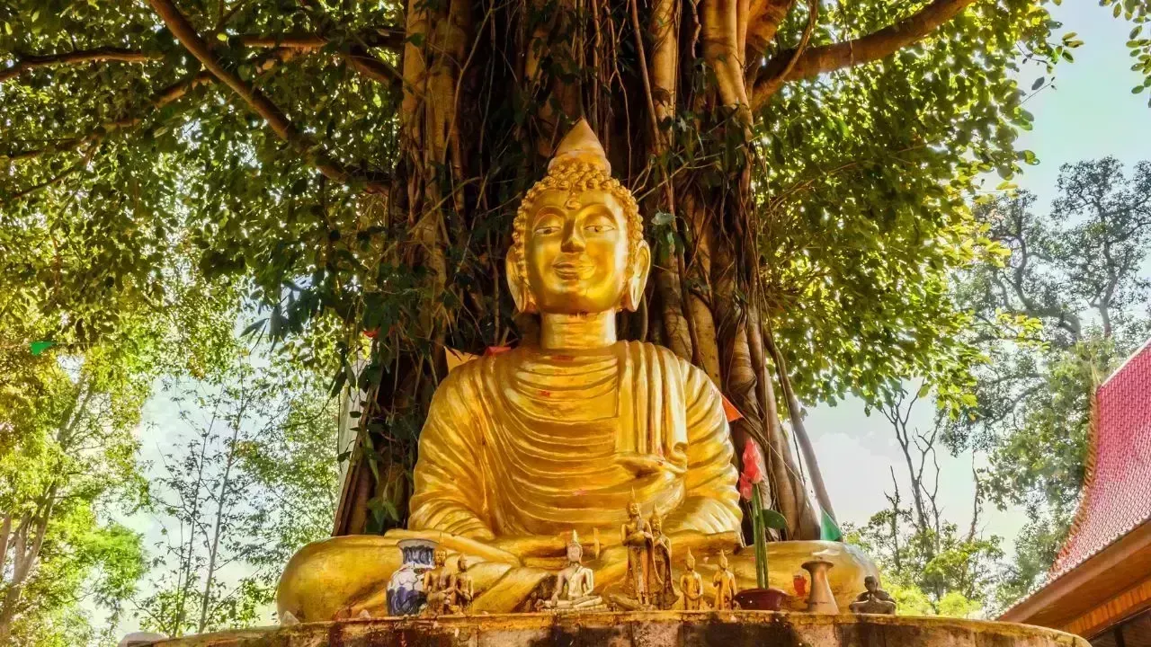 Thailand Hosts National Ceremonies for Royal Bodhi Tree