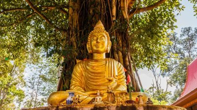 Thailand Hosts National Ceremonies for Royal Bodhi Tree