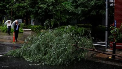 Tropical Storm Jangmi Strikes Japan, Power Outages Reported