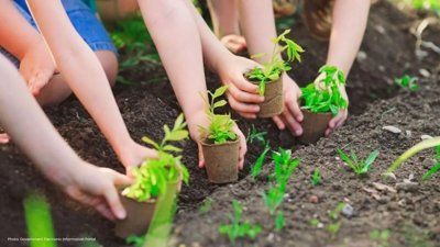 Vietnam's Blueprint for Sustainable Oceans and Green Growth