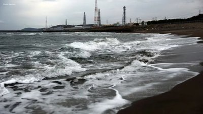 Japan's Vision for New Nuclear Reactors to Address Energy Needs