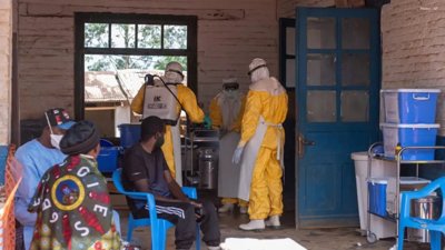 WHO Raises Alarm as Ebola Cases Near 500 in Central Africa