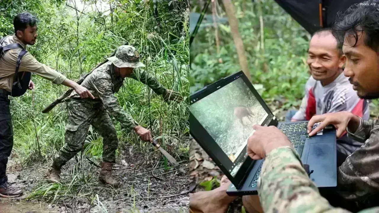 AI and Hidden Cameras Join Forces to Safeguard Cambodia's Wildlife