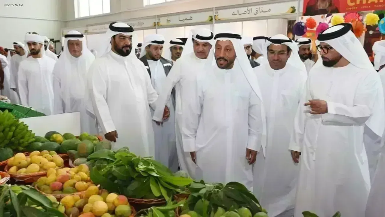 Khorfakkan Mango Festival Sees 40% Rise in Participation