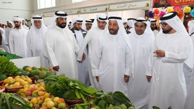 Khorfakkan Mango Festival Sees 40% Rise in Participation