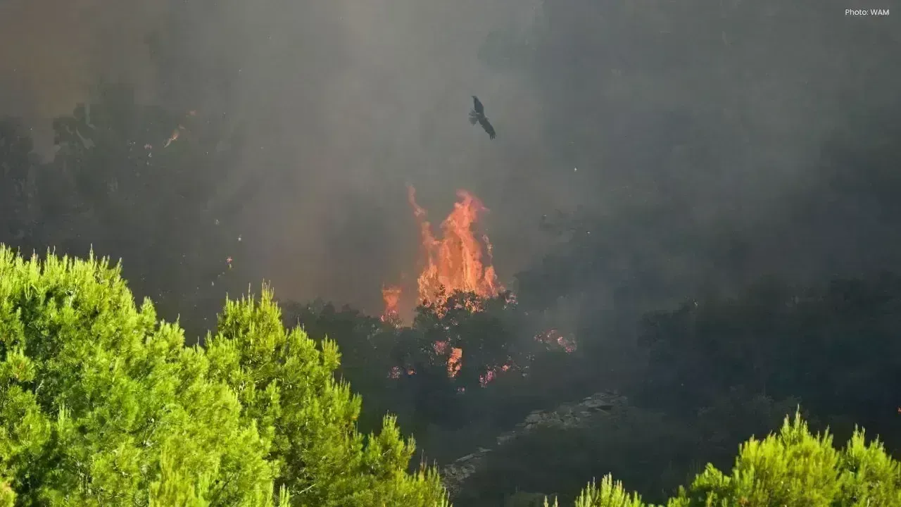 France Wildfire Spreads Across 800 Hectares Amid Strong Winds