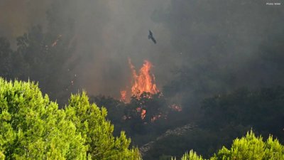 France Wildfire Spreads Across 800 Hectares Amid Strong Winds