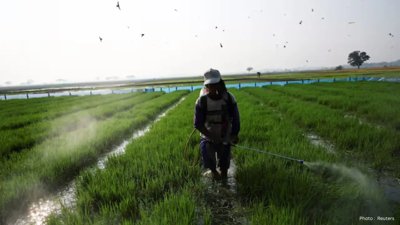 Indonesia's Weather Agency Advises Farmers on Severe Dry Conditions