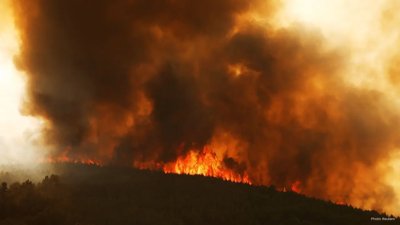 Devastating Wildfire in Spain Claims 11 Lives Amidst Heatwave