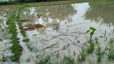 Flash Flood Alert for 10 Districts in Bangladesh