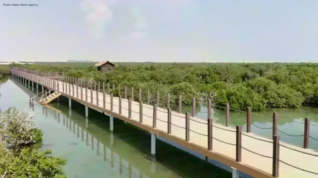 Qatar Expands Mangrove Protection as Forests Cover 14 Sq Km