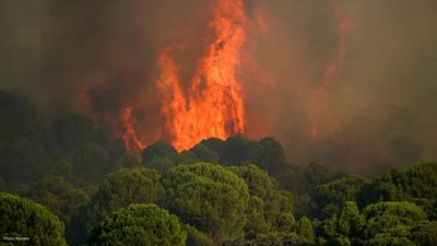 France Wildfires Near Bordeaux as Europe Battles Heatwave