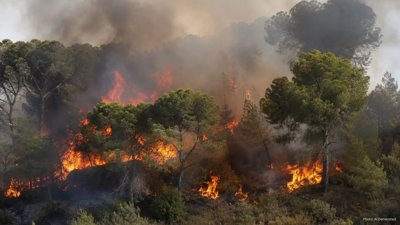 Ben Shemen Forest Fire Brought Under Control in Central Israel