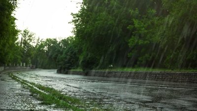 Heavy Rain Triggers Wadi Overflow, Traffic Disruptions in Al Buraimi