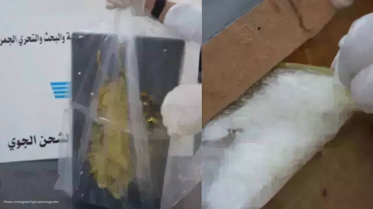 Kuwait Customs Seizes 1.25kg Narcotics in Pakistan Air Cargo