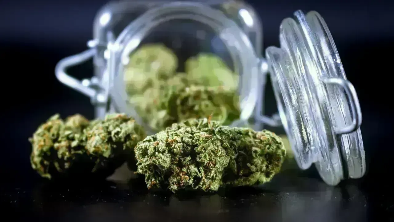 Kuwait Arrests Suspect Over Indoor Marijuana Growing Operation
