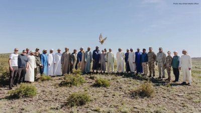 UAE Falcon Conservation Programme Confirms Siberia Breeding Success