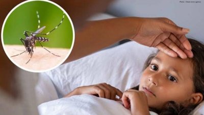 Dengue Cases Surge in Kuala Lumpur and Selangor