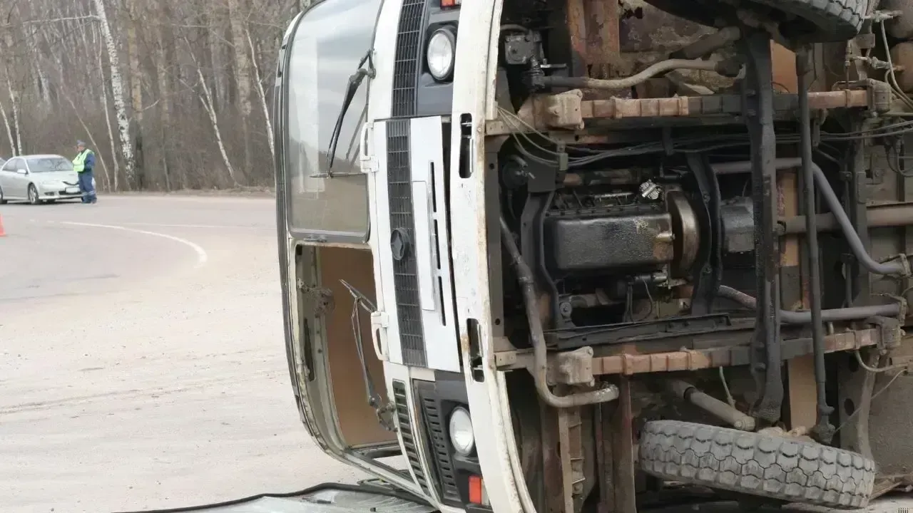 Tragic Bus Accident Claims 16 Lives in South Sinai