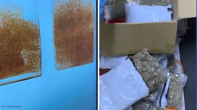 Oman Customs Seizes More Than 6kg of Marijuana
